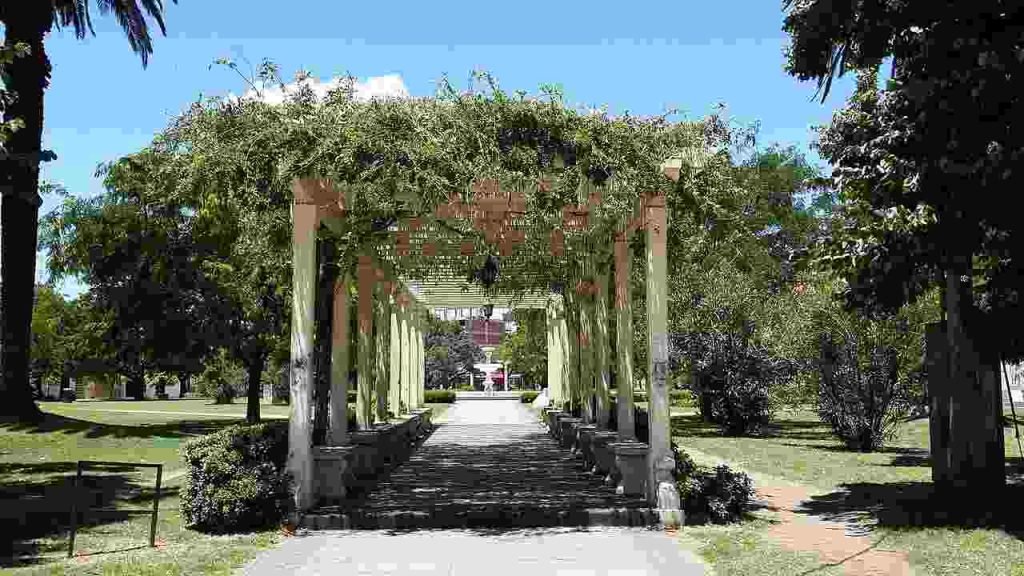 pergola